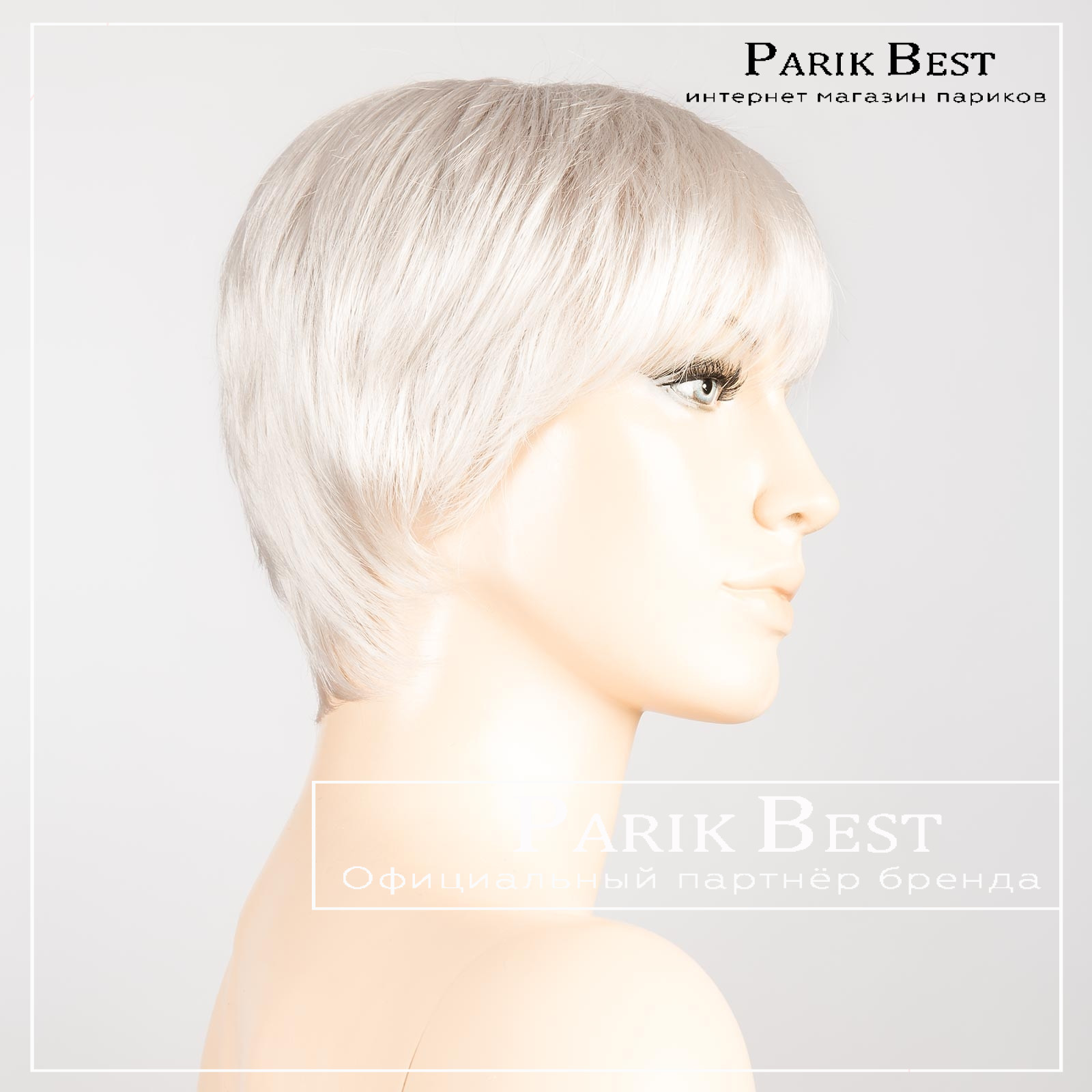 ginger-small-white-mix-bs