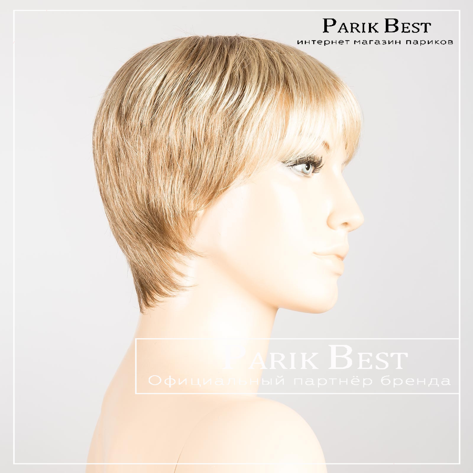 ginger_ginger_small_1 1