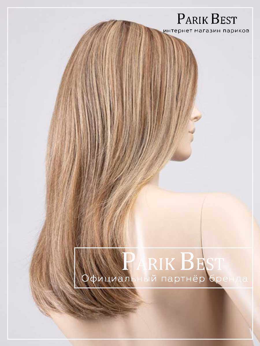 bernstein-multi-shad-