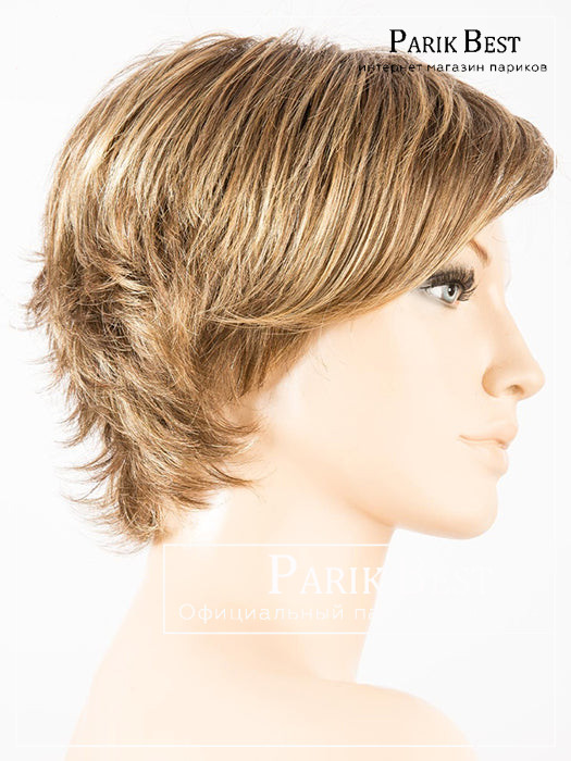 _open-bernstein-rooted_12.19.26_1_1024x1024