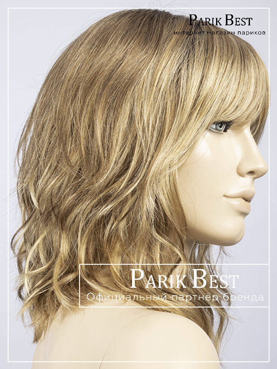 _bernstein-multi-shad