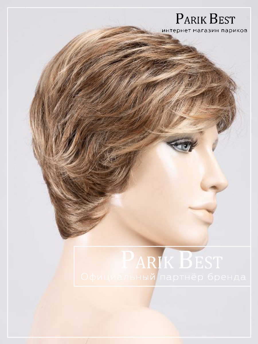 bernstein-multi-shad