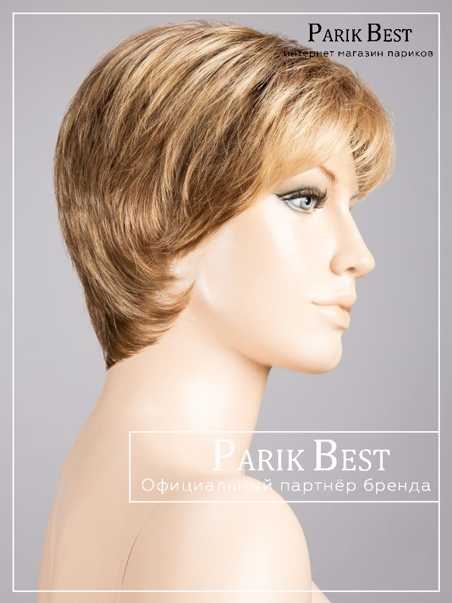 _bernstein-multi-shad