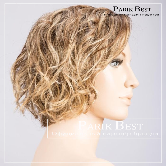 turn-bernstein-rooted-bs