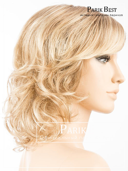 cat-champagne-rooted_22.25.26_1024x1024