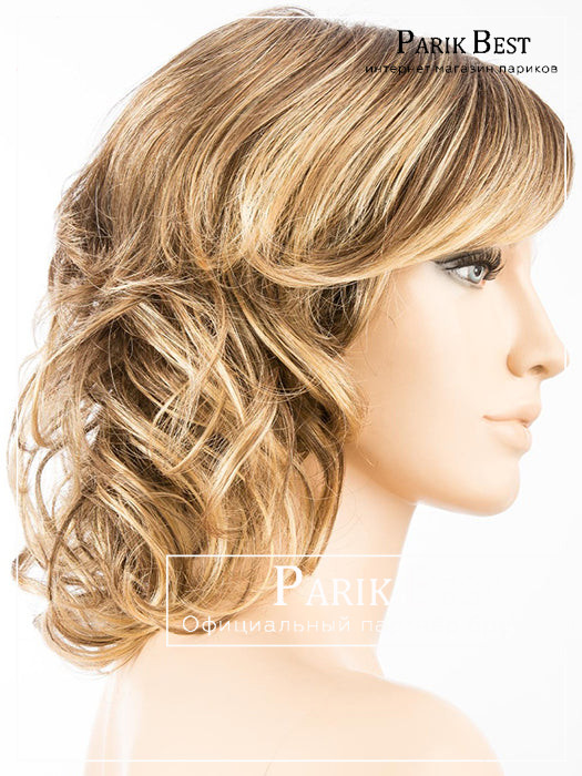 cat-light-bernstein-rooted_12.26.19_1024x1024